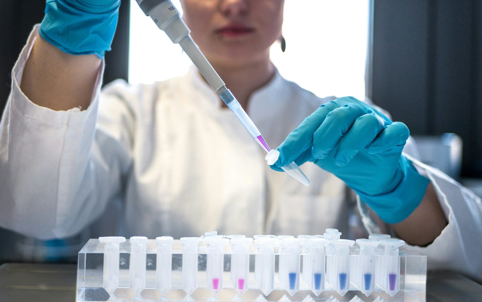 Scientist pipetting samples in a cell-therapy laboratory
